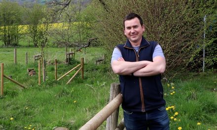 Here to Help – Marches Growth Hub turns business dream into reality
