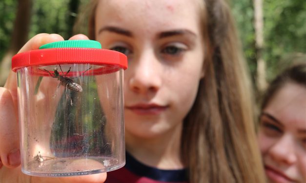 Shropshire charity announces new funding to ensure pupils don’t miss out on educational school trips