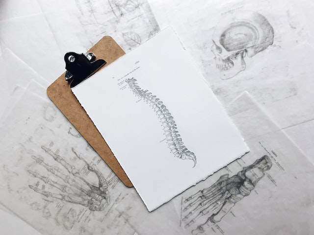 Tips on how to take care of your back