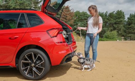 With dog owners benefitting from better mental health, ŠKODA champions canine companionship with BorrowMyDoggy