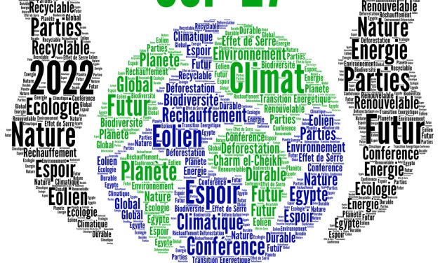 Bluewater Water Refill Stations and Sustainable Bottles Bring Dynamic Hydration Solution to COP27