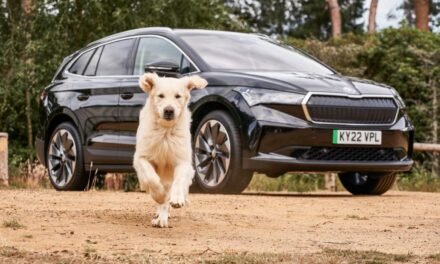 Anything is paw-sible as Škoda is confirmed as Official Automotive Partner of Crufts