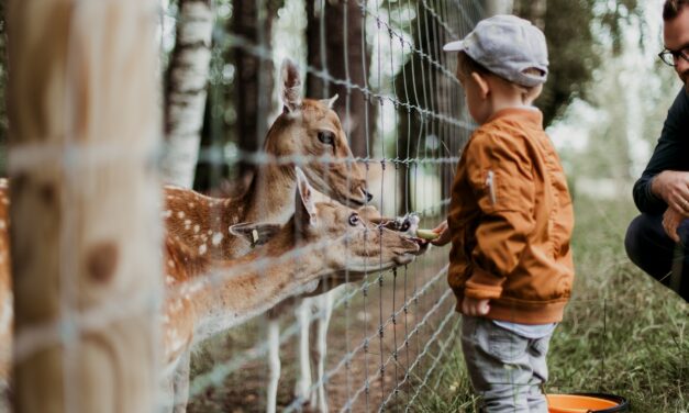 Best Zoos to visit in the UK