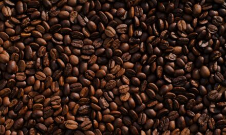 Yorkshire Coffee Roaster LaunchesSustainable Specialty Coffee Pods