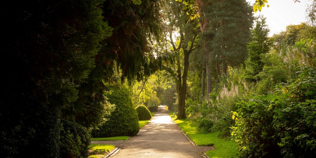 Staffordshire developer talks the talk so residents can walk the walk