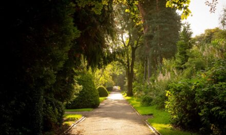 Staffordshire developer talks the talk so residents can walk the walk