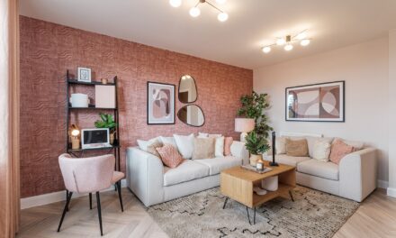 Discover the David Wilson Difference at new Staffordshire community