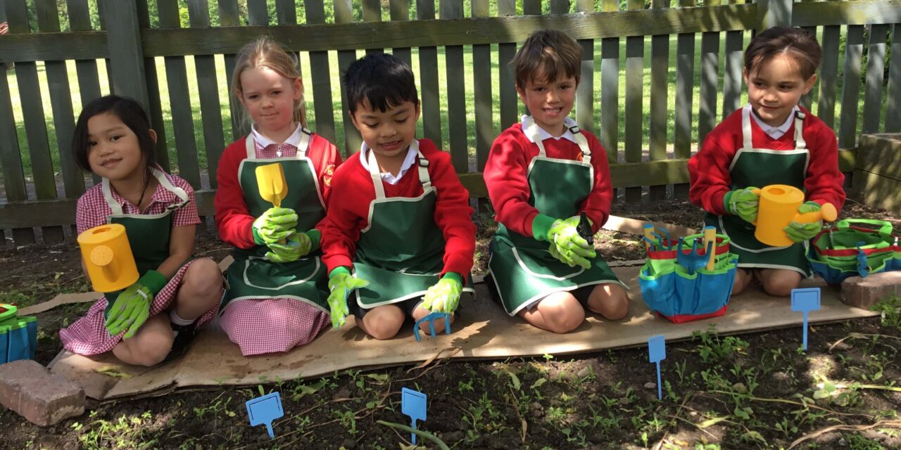 I beg your garden: Warwickshire new homes provider helps school pupils blossom this Children’s Community Gardening Week