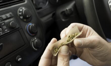 High and drive… 1-in-10 motorists have driven after taking illegal drugs