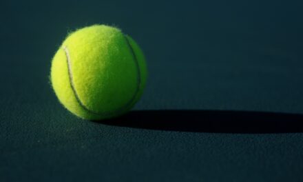 Match Point! Wimbledon homeowner serves up an ace with simple money-making hack