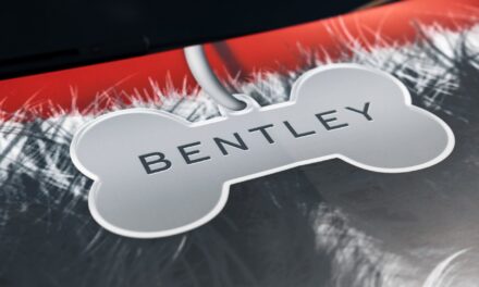 A rare breed of Bentayga: Bentley the Sheepdog shows off a special coat for Goodwoof