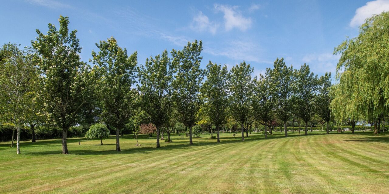 Midlands-based Distinct Cremations offers option to go greener