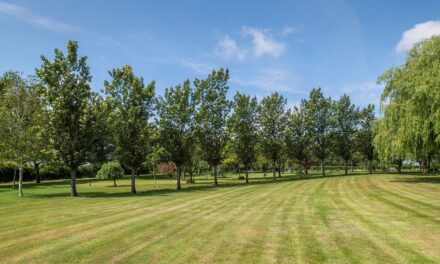 Midlands-based Distinct Cremations offers option to go greener