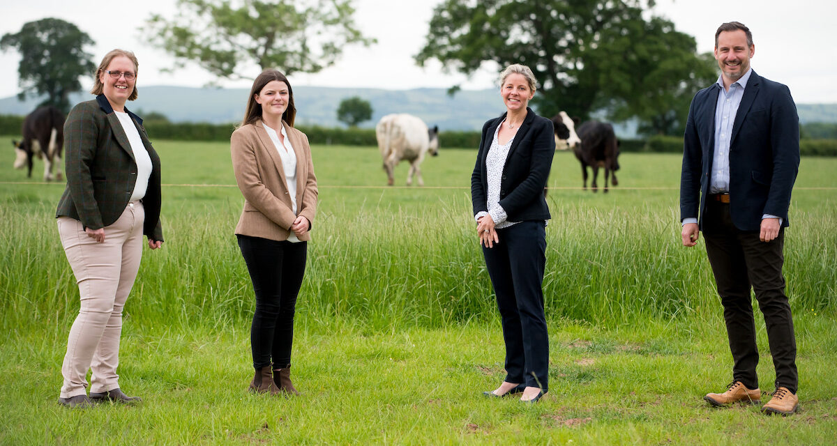 Summer tour of agricultural events for farming legal team