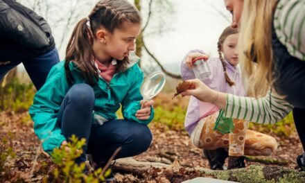 ‘Recharge in Nature’ – BMW supports new National Parks projects