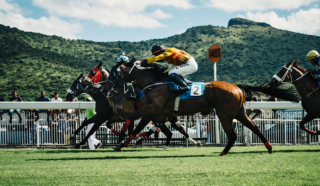 The Horse Racing Courses in Scotland