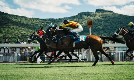The Horse Racing Courses in Scotland