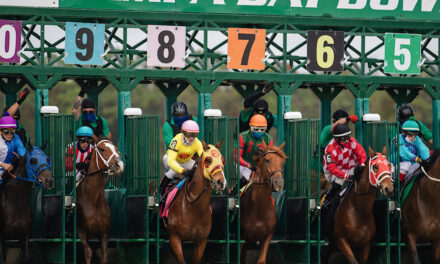 The Horse Racing Courses in West Midlands