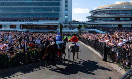 The Horse Racing Courses in Yorkshire