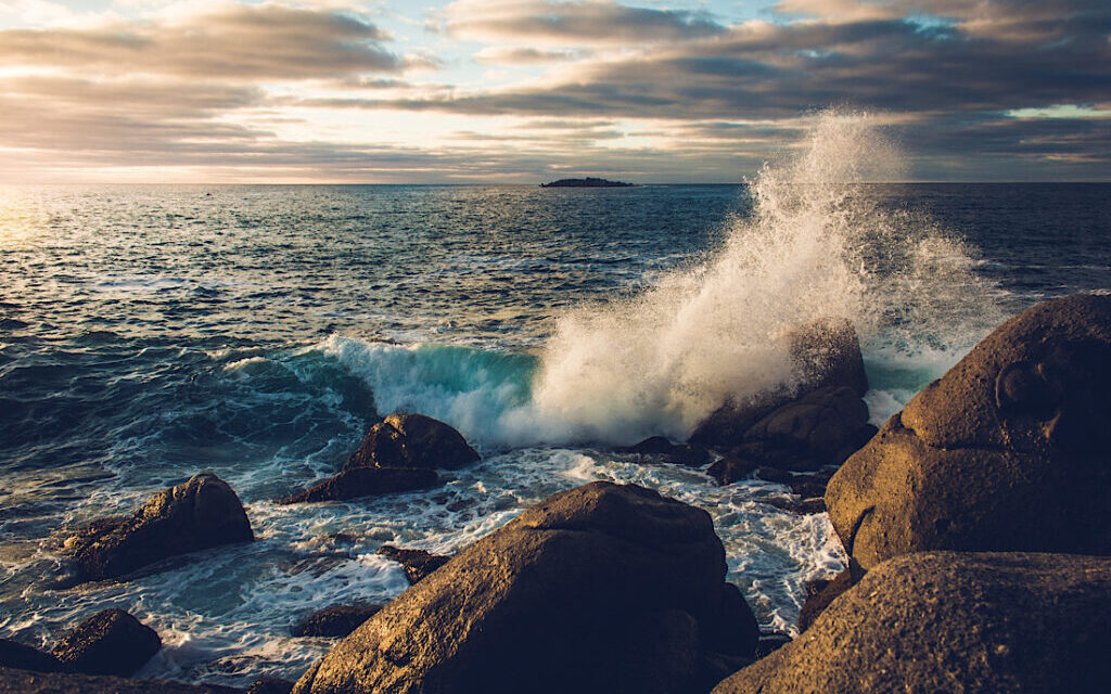 Oceans of Plastics 2023 – 22nd November 2023