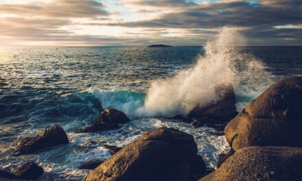 Oceans of Plastics 2023 – 22nd November 2023