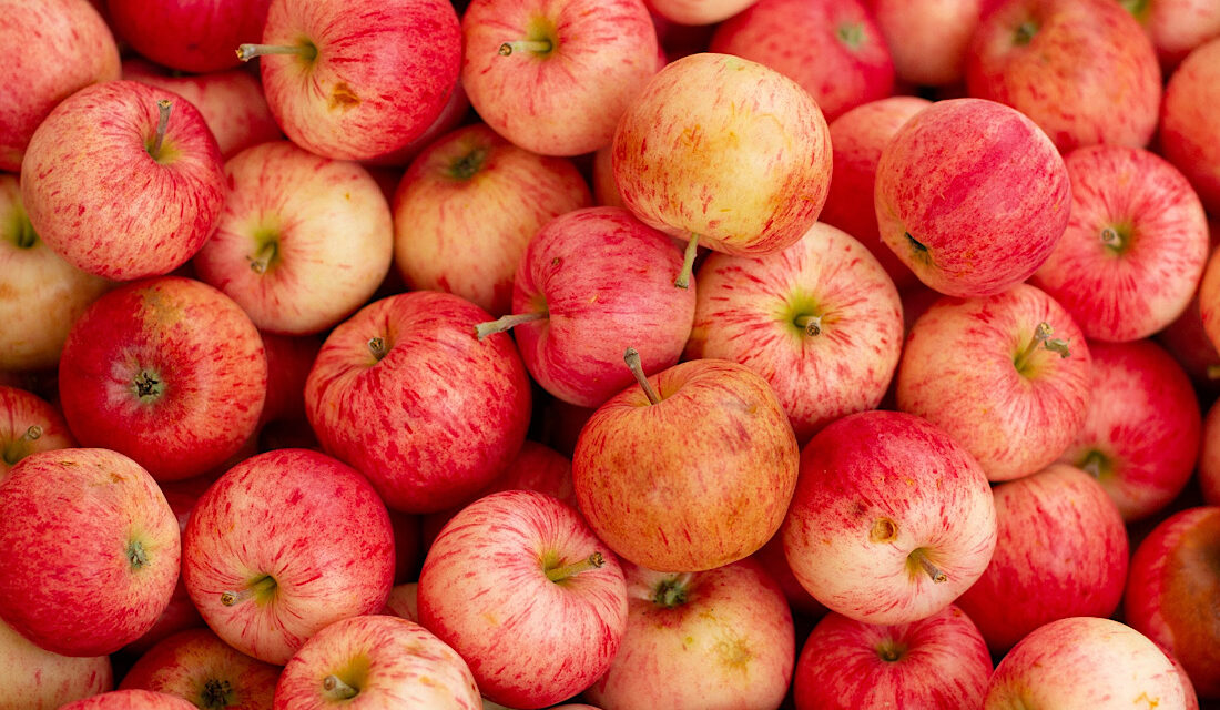 Eat a Red Apple Day – 1st December 2023