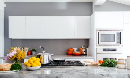 Discover the Ultimate Kitchen Essentials