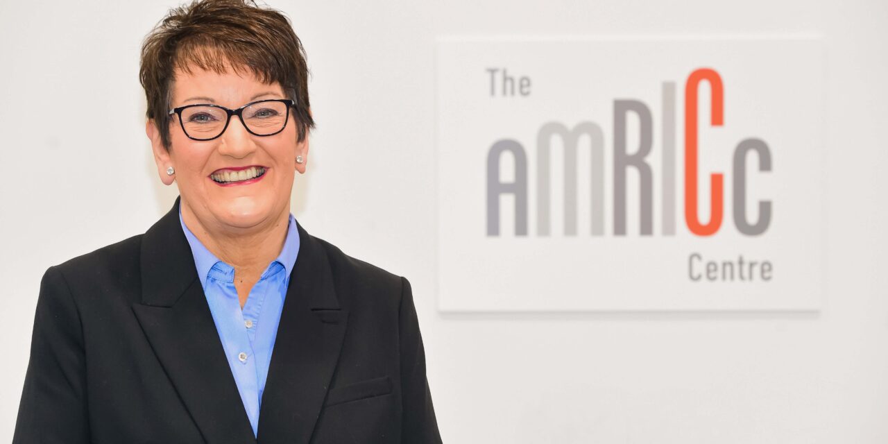 Landmark year for £10 million open-access AMRICC Centre sees Midlands vision for advanced ceramics take shape