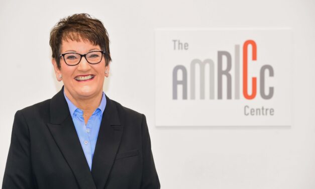Landmark year for £10 million open-access AMRICC Centre sees Midlands vision for advanced ceramics take shape