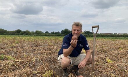 Staffordshire crisp producer backs Atlantic rowing challenge