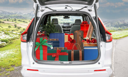 I’m A Competitive Tetris Player – Here’s How You Should Be Packing Your Car For Christmas