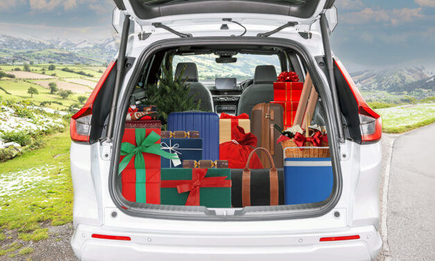 I’m A Competitive Tetris Player – Here’s How You Should Be Packing Your Car For Christmas