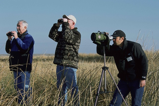 Big Schools Birdwatch 2024
