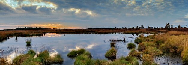 What is World Wetlands Day 2024?