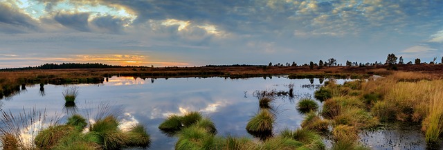 What is World Wetlands Day 2024?