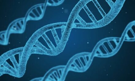 What is International Day of Women and girls in science 2024?