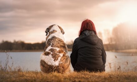 What is National Love Your Pet Day 2024?