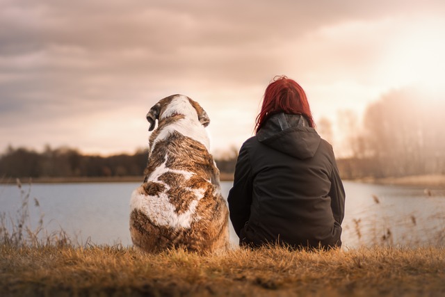 What is National Love Your Pet Day 2024?
