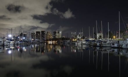 What is Endo The Night 2024?