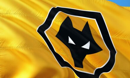 A History of Wolverhampton Wanders Vs Coventry City in the FA Cup?