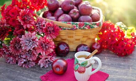 What are the health benefits of Apple Cider Vinegar?