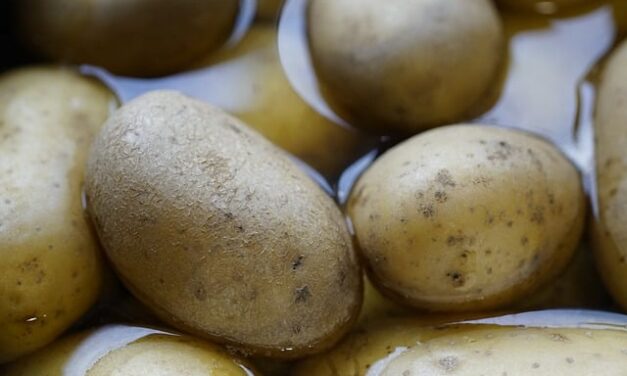 How are Potatoes Made in the UK?