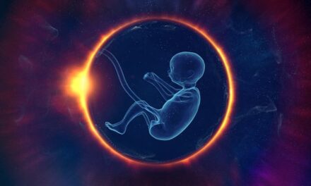 The Genesis of Complexity: Unveiling the Significance of Primary Endosymbiosis in Life’s Evolutionary Tale