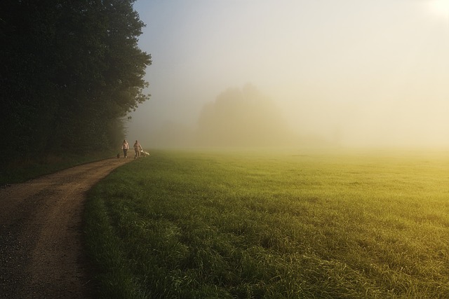 Where to go for nice walk with the Dog if your away for the Weekend in East Midlands?