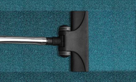A Comprehensive Guide to Spring Cleaning: Preparing Your Home for a Fresh Start