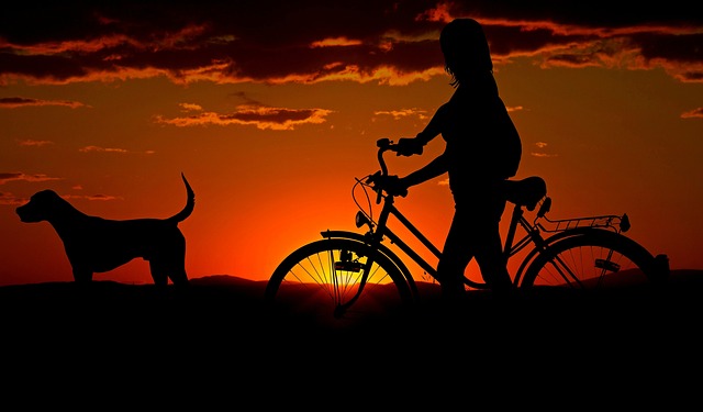 Where to go for nice walk with the Dog this weekend?