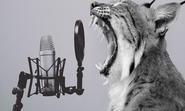 Scream Day 2024: Unveiling the Power of Cathartic Expression