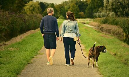 Where to go for nice walk with the Dog if your away for the Weekend in North West of England?