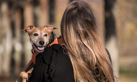 Celebrating National Pet Month 2024: A Tribute to the Beloved Companions of Our Lives
