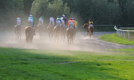 The Grand National 2024